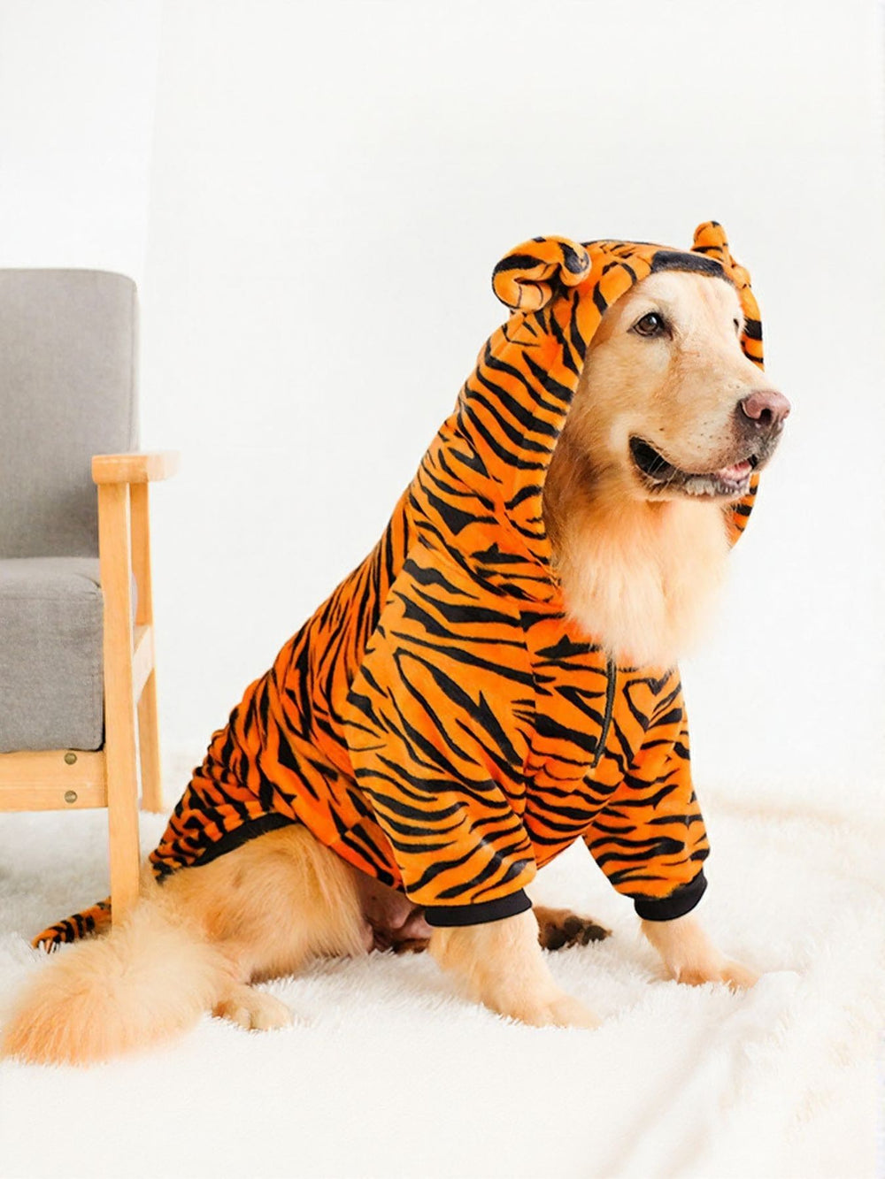 PETS APPAREL